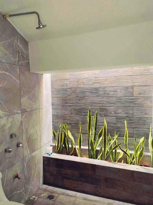 Casa Sol Y Luna Luxury Valladolid  Luaran gambar